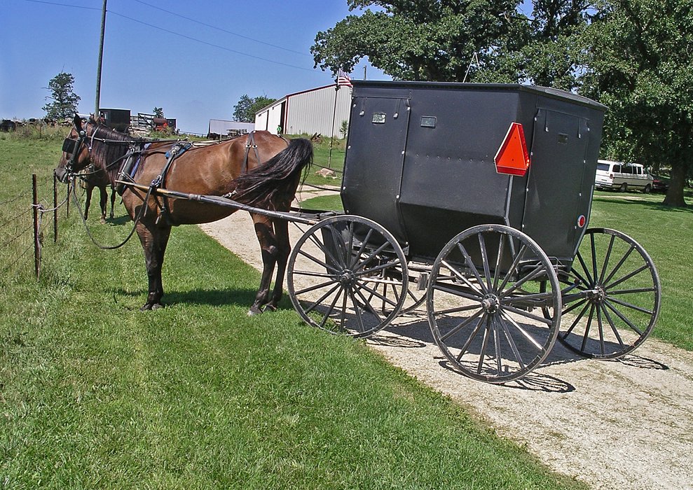 Amish_Wagon.jpg