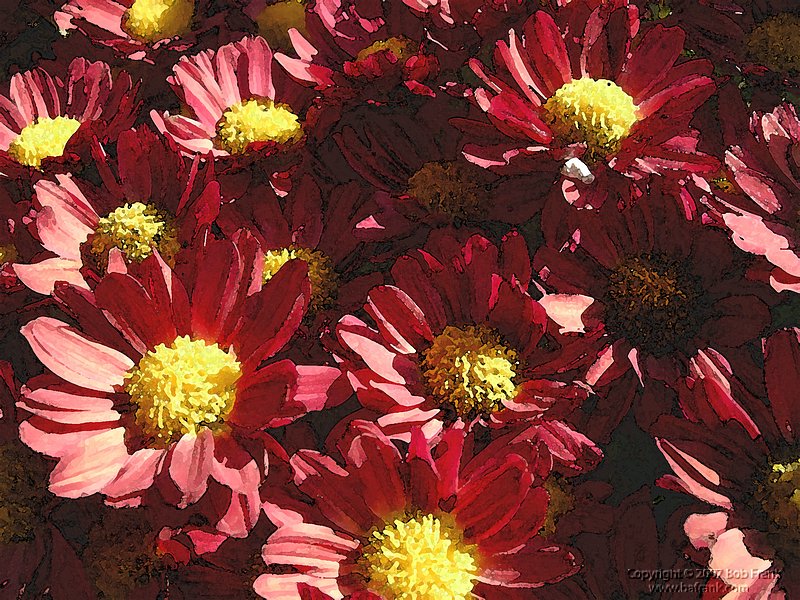 red_flowers_Watercolor.jpg