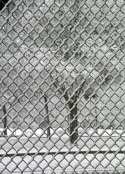 snow_fence3.jpg