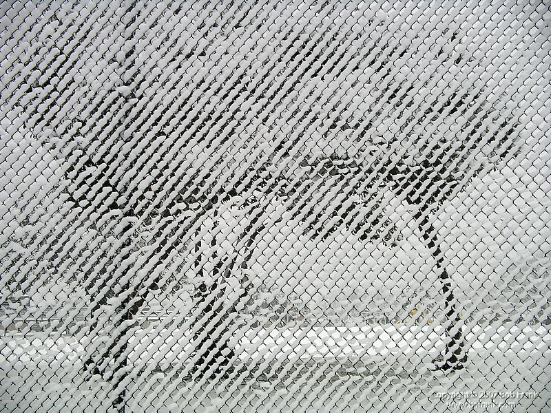 snow_fence_2.jpg