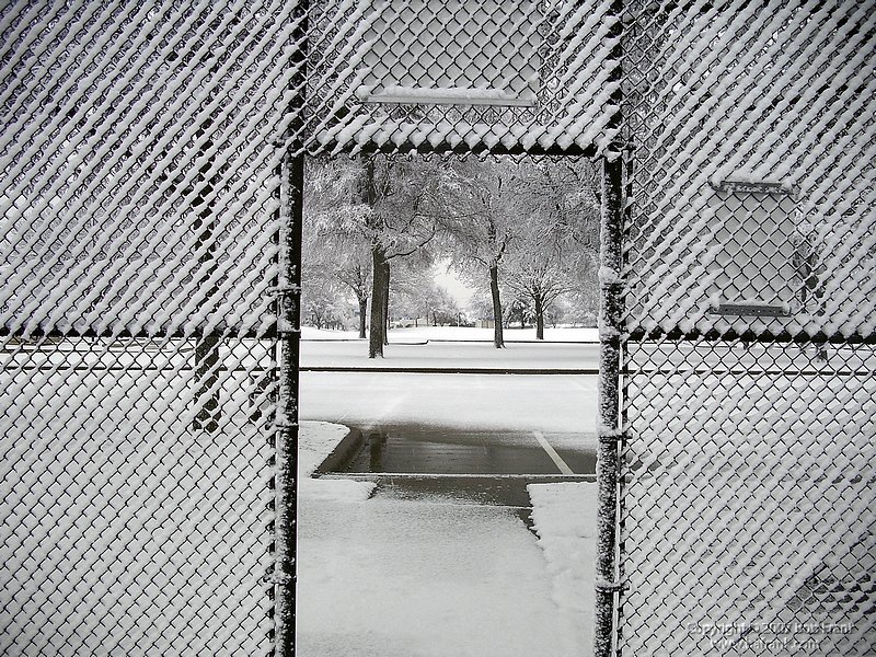 snow_fence_4.jpg