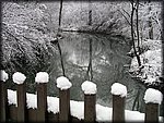 creek_snow.jpg