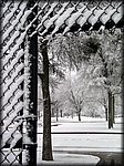 fence_snow.jpg