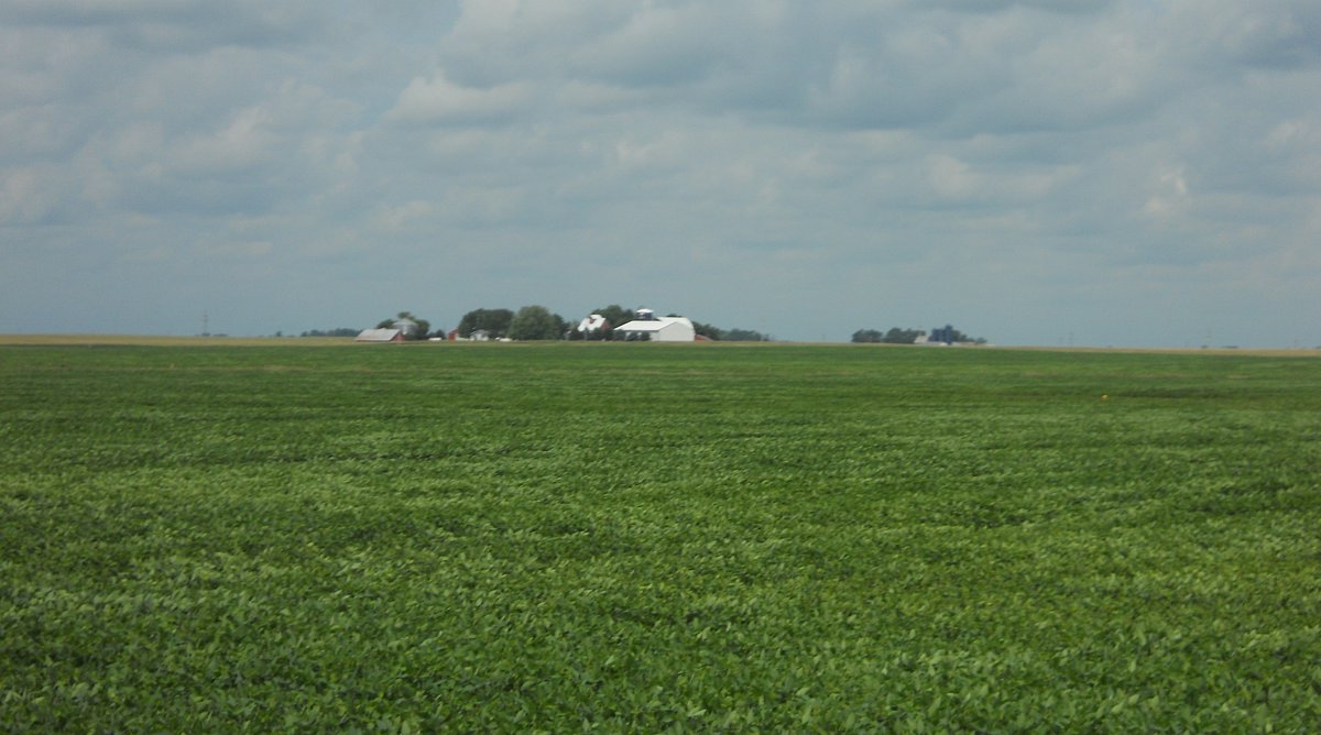 DSCN0370.jpg