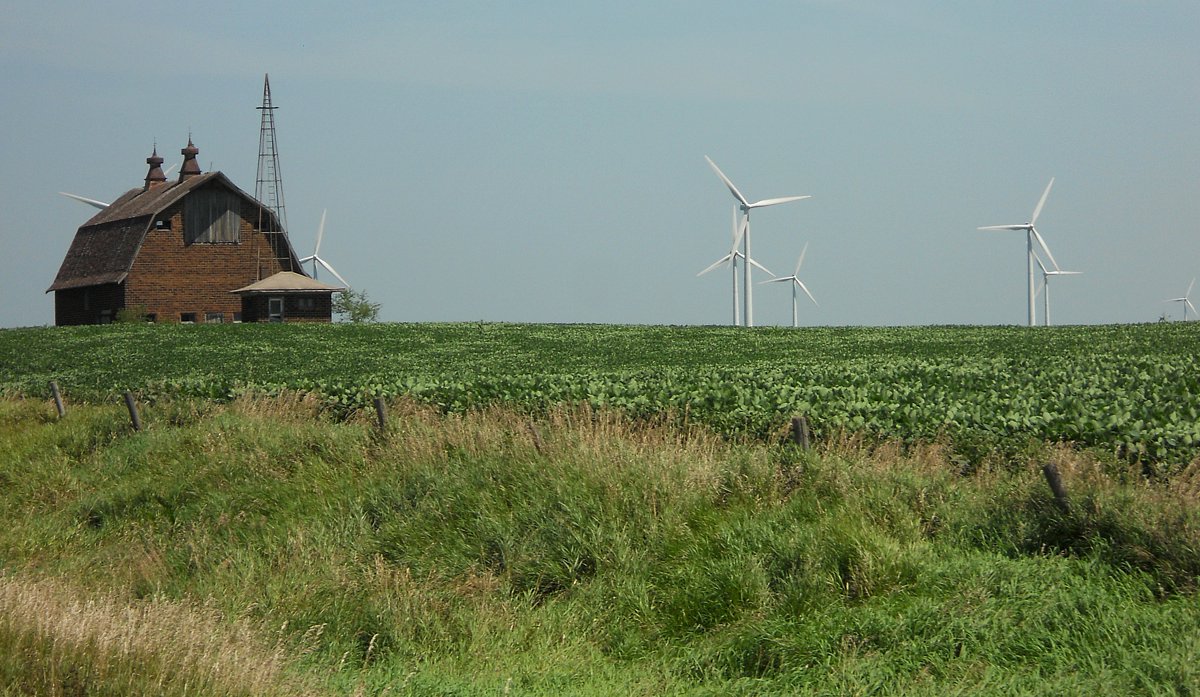 DSCN0478.jpg