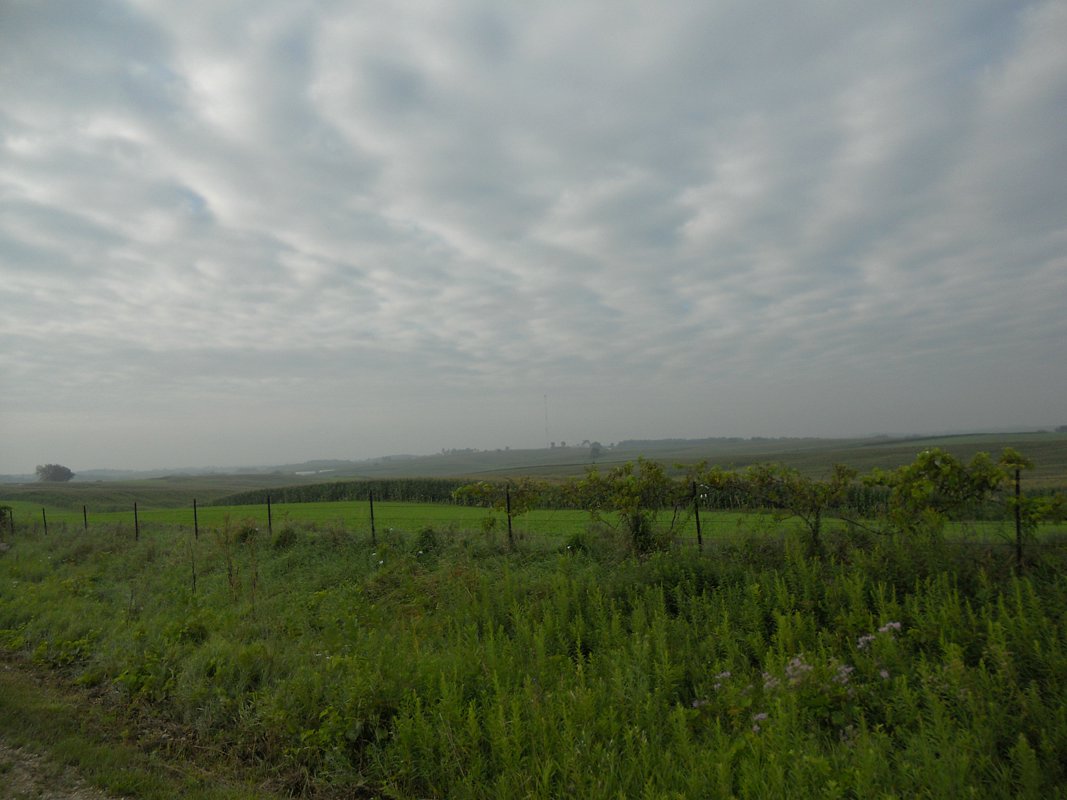 DSCN0728.jpg