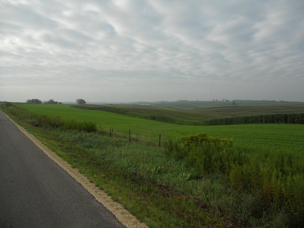 DSCN0729.jpg