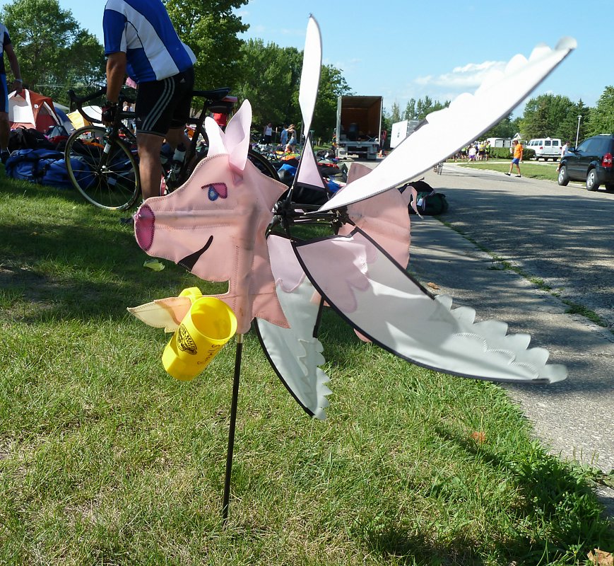 P1010166.jpg