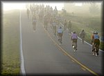 P1000807.jpg