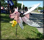 P1010166.jpg