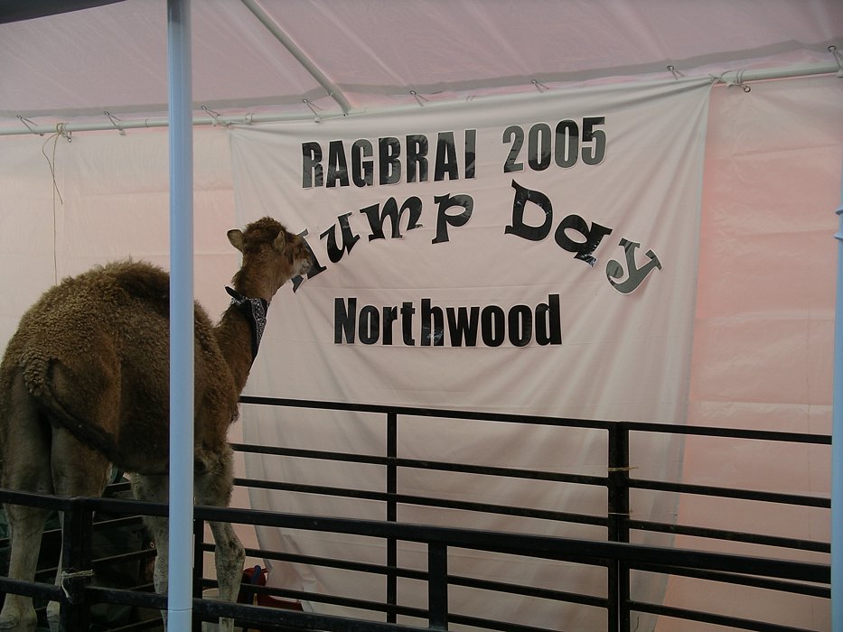 IMGP0015.JPG