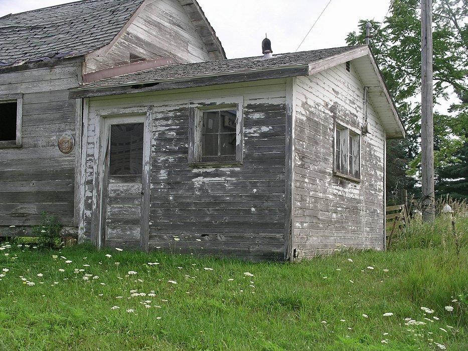 IMGP0155.JPG