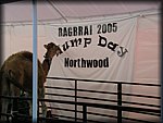 IMGP0015.JPG