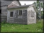 IMGP0155.JPG