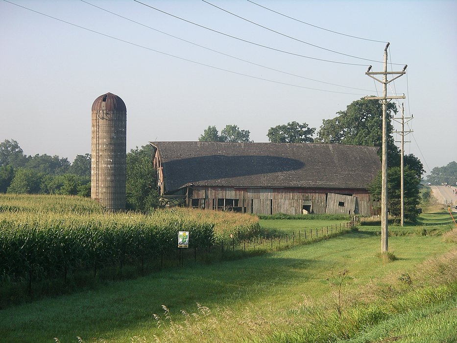 IMGP0769.jpg