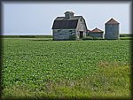 IMGP0677.jpg