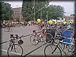 IMGP0703.jpg