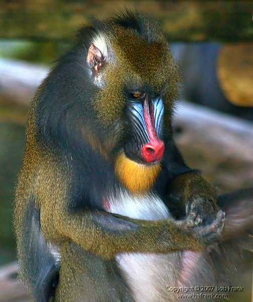 DSC_1143.jpg