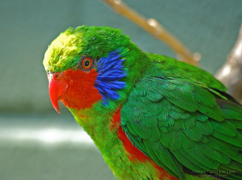 DSC_1212.jpg