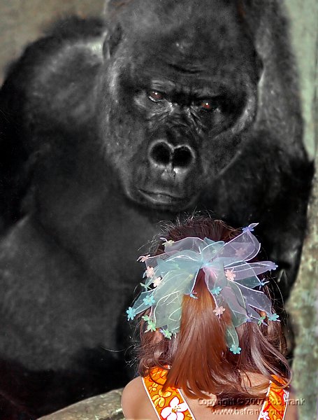 girl_gorilla6.jpg