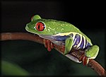 DSC2838.jpg
