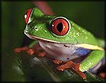 DSC2850.jpg