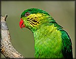 DSC_1023.jpg