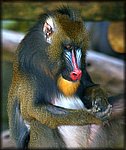 DSC_1143.jpg