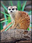 DSC_1173.jpg
