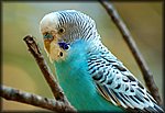 DSC_1202.jpg