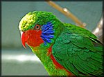 DSC_1212.jpg