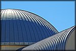 DSC_1589.jpg