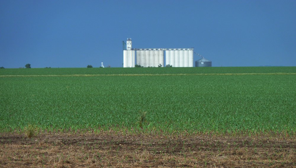 P1000137.jpg