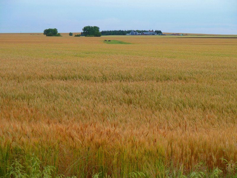 P1000217.jpg
