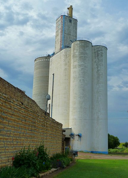 P1000238.jpg