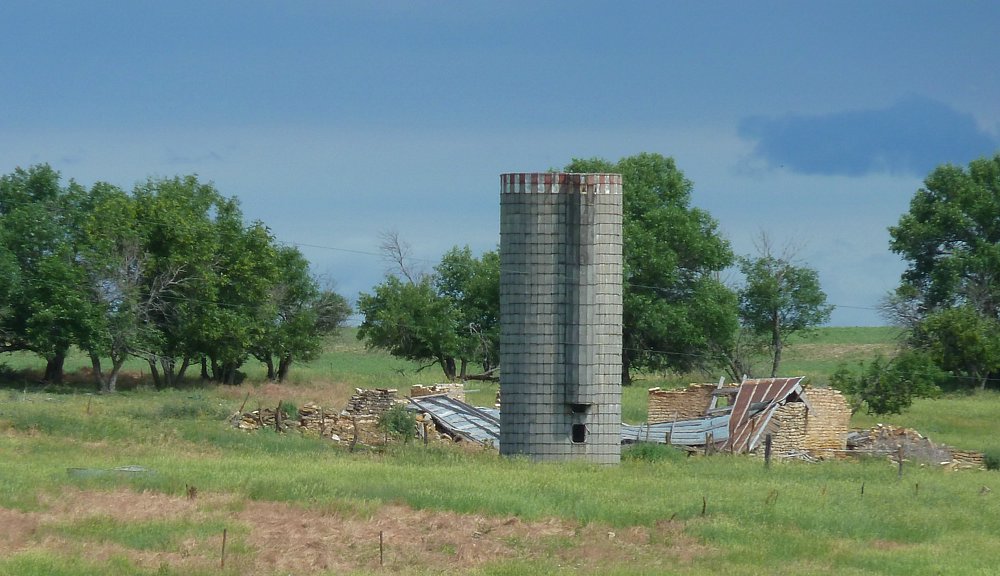 P1000257.jpg