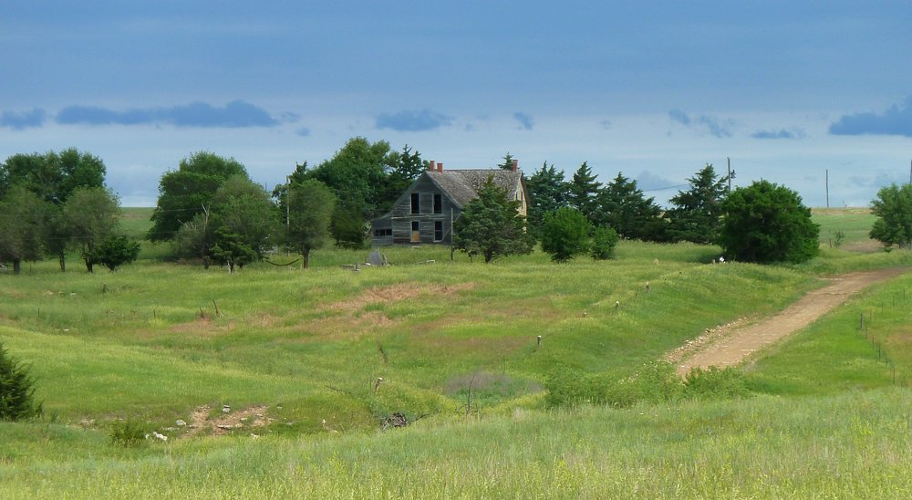 P1000260.jpg