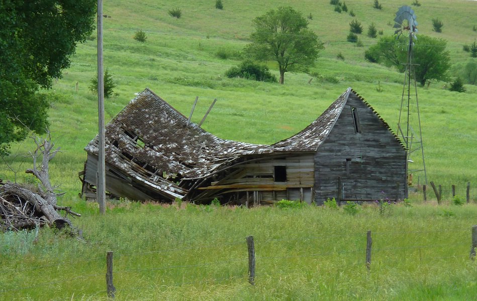 P1000268.jpg