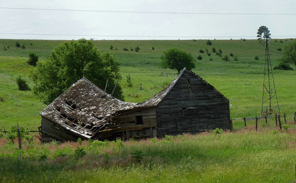 P1000280.jpg