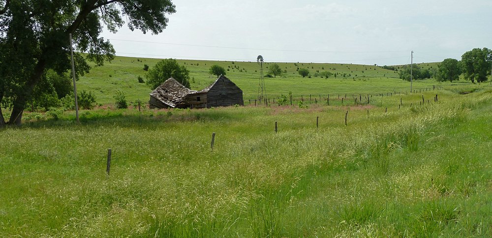 P1000281.jpg