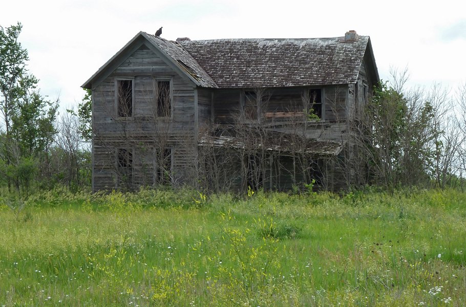 P1000322.jpg