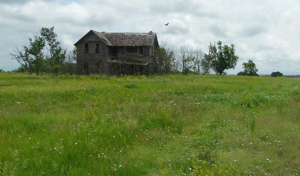 P1000323.jpg