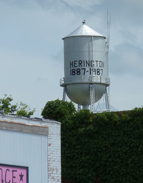 P1000351.jpg