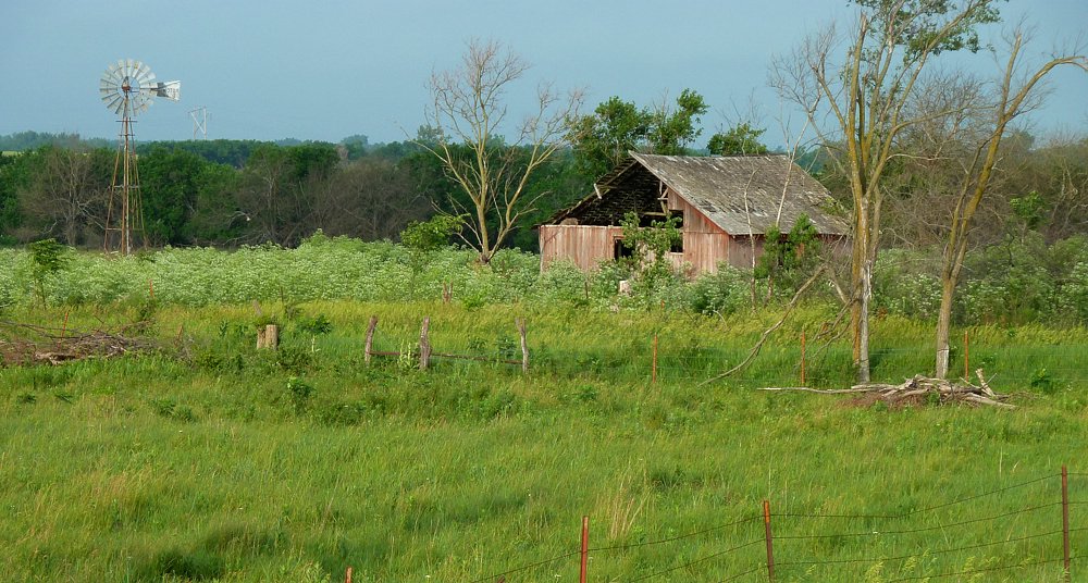 P1000359.jpg