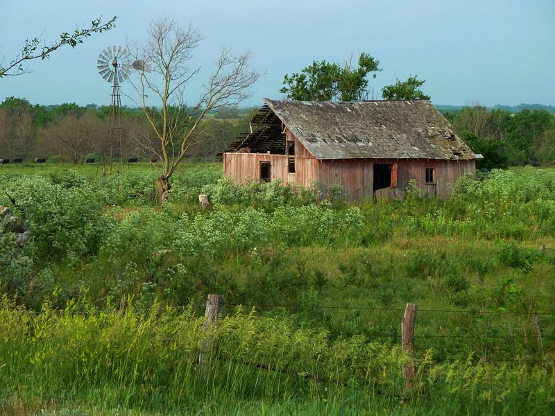 P1000363.jpg