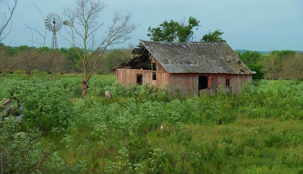P1000365.jpg
