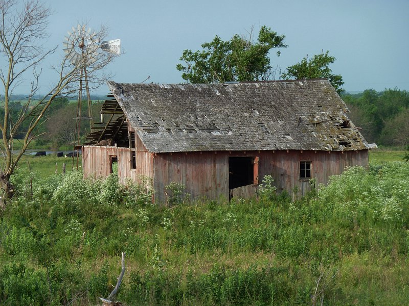 P1000366.jpg