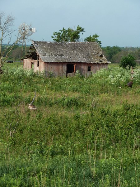 P1000368.jpg