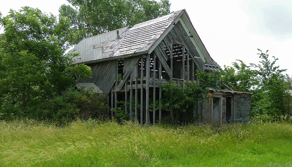 P1000381.jpg