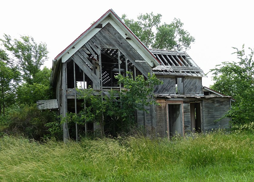 P1000383.jpg